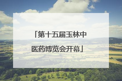 第十五届玉林中医药博览会开幕